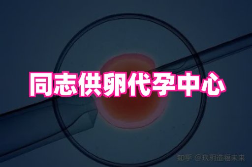 国际助孕网 4
